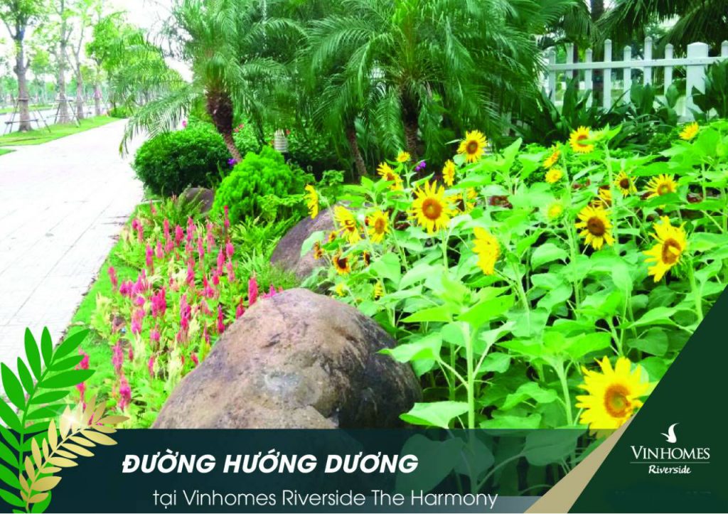 Phân khu Hướng Dương